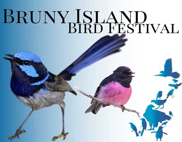 Bruny Island Bird Festival